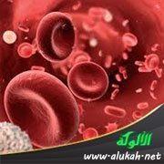 الأوعية الدموية في جسم الإنسان