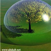 المهارات الحياتية البيئية في الإسلام