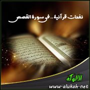 نفحات قرآنية .. في سورة القصص