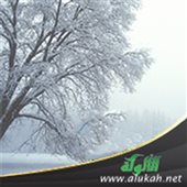 صورة الغلاف