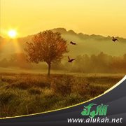 هذا الصباح (قصة)
