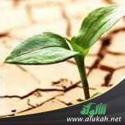 تخميسات متفائل (4)