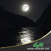 صراع تحت جنح الظلام