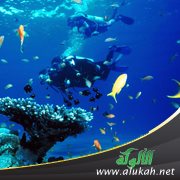الغواص والبحر (شعر للأطفال)