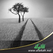 لا تجعلوا من الحق باطلا