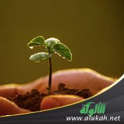 الفطرة: مفهومها، منهجها، أركانها عند الدكتور فريد الأنصاري رحمه الله