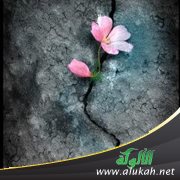 الأمل.. سلاح أمضى وعلاج أقوى!