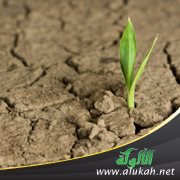 استثمار الأوقات