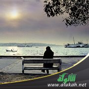 إلى مرفأ الأشواق