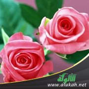 يريدني زوجة ثانية فهل أقبل؟