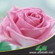 تأخذ روح الحياة