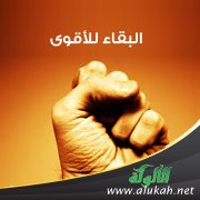 البقاء للأقوى (قصة)