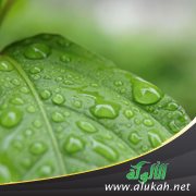 ذكر.. مع قطرات المطر