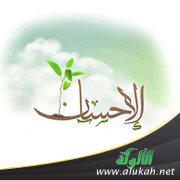 إحسان من النظرة الأولى!