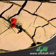 لحظات لا تنسى (2)