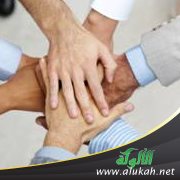 مطلوب مبادر