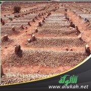 مشروعية وعظ الناس عند تأخر الجنازة