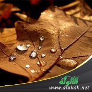 تحطمت آمالي بعد الزواج