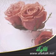 أحبهم