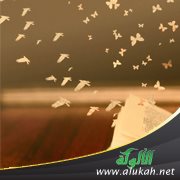 نماذج من عطاءات الأيام الأخيرة