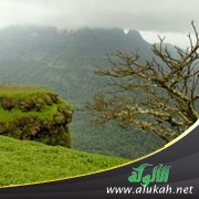 خاطرة حول البرياني وأشياء أخرى في الهند