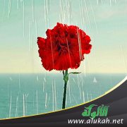 كيف أتعامل معه بعد زواجه من الثالثة؟