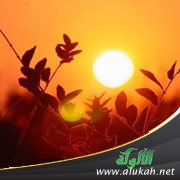 ولكل درجات مما عملوا