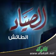الصياد الطائش (شعر تفعيلة للأطفال)