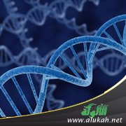 إثبات نسب الأطفال بعد وفاة أبيهم