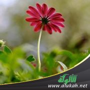 أنا متقلبة المزاج