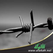 صديقي على حافة الوقوع في الشذوذ