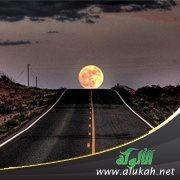 جدة الطريق.. في مساوئ التحقيق