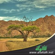 المرأة الإفريقية