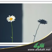 ظل وميل..