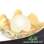 درر الشيخ علي الطنطاوي (14)
