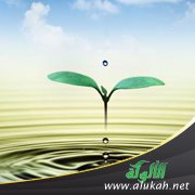 ما زال في الحياة نبض