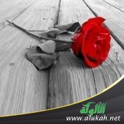 مستواه أقل مني ويريد خطبتي