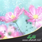 الخوف من الله أمن وهبة وشجرة طيبة