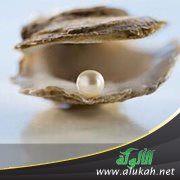 الزوجة بعد الأربعين