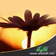 نسألك البقاء دهرا!