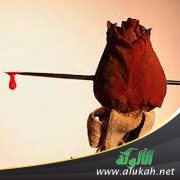 مخطوبة وتحب شخصا آخر