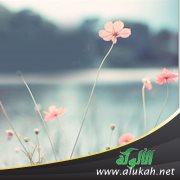 من يدخلون الجنة بغير حساب (خطبة)