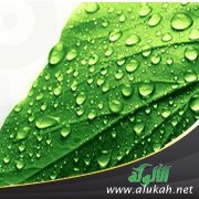 الآجرومية وبركة الإخلاص