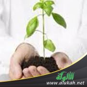 ولكنها رحمة العامة (2)