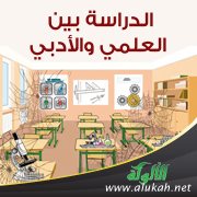الدراسة بين العلمي والأدبي