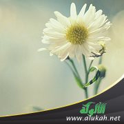 من أصلح سريرته أصلح الله علانيته