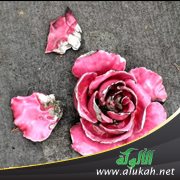 أحبه ولا يريد أن يتزوجني !