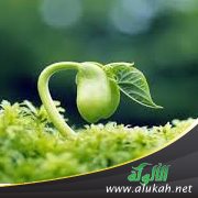 نظام الحياة