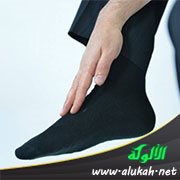 شرح المسح على الخفين من مهذبة ألفية الزبد