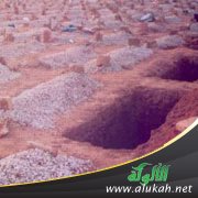 من يعذب في القبر؟